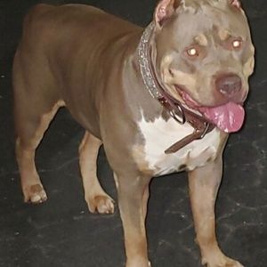 Meet your Posher, Sheldon